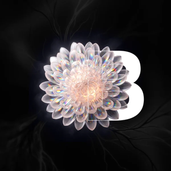 crisantemo@2x