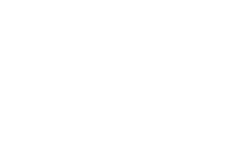 Twineich® | Fear to Power — Branding, Diseño Estratégico y Evolución de Marca